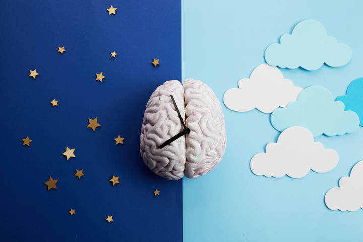 Neurociencia del descanso y el rendimiento: El papel de la melatonina, rhodiola rosea y triptófano