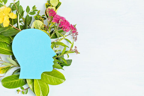 ¿Sabías que la naturaleza tiene poderosos ingredientes para cuidar tu salud mental? - ZenNaturaMX