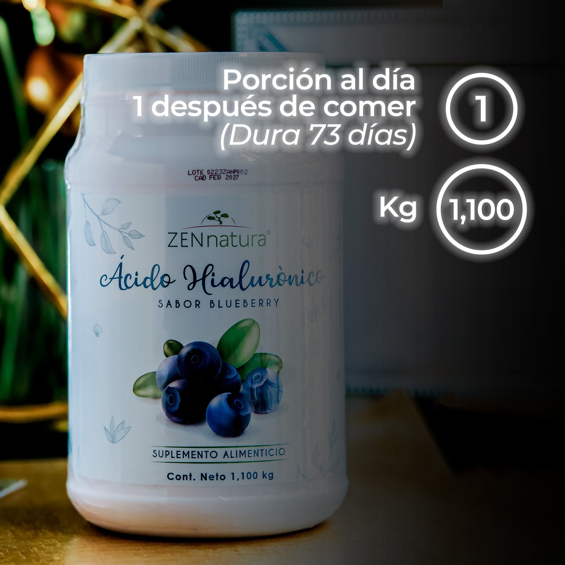 ÁCIDO HIALURONICO Y COLÁGENO HIDROLIZADO | 1.1KG - ZenNaturaMX