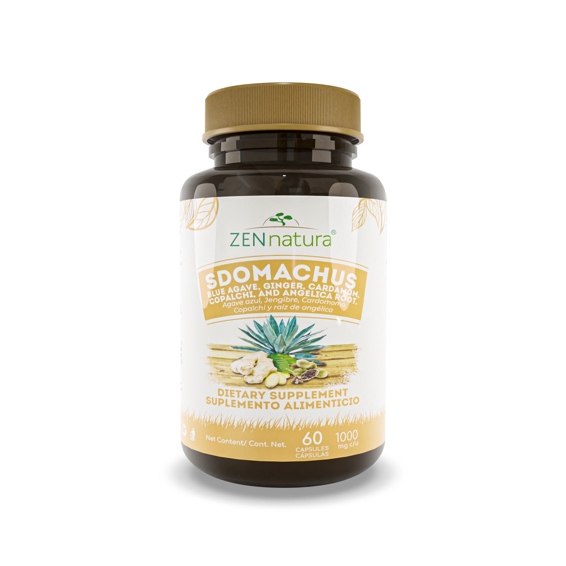 AGAVE AZUL, ALOE VERA, JENGIBRE Y SÁBILA | 500MG SDOMACHUS - ZenNaturaMX