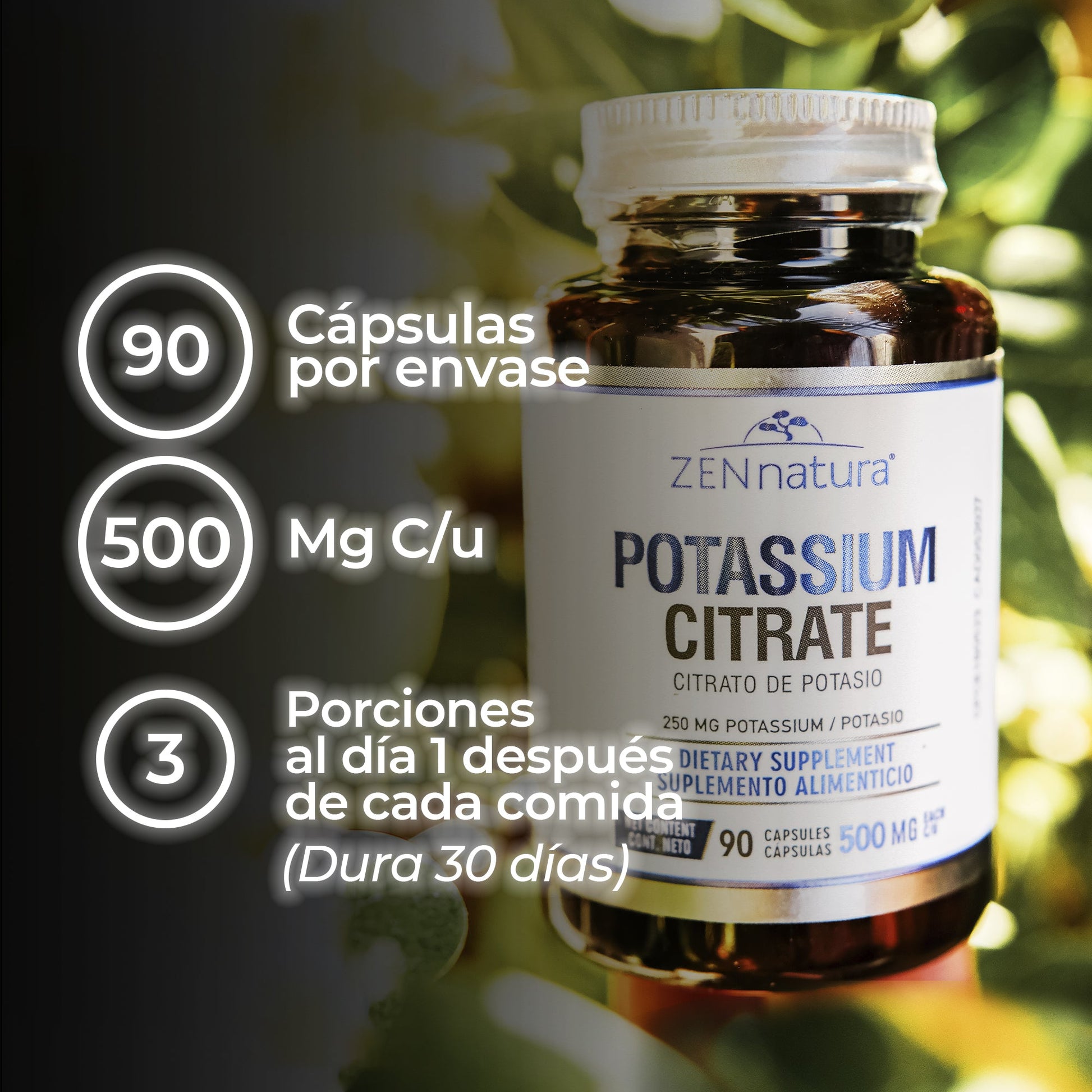 CITRATO DE POTASIO | 250MG - ZenNaturaMX