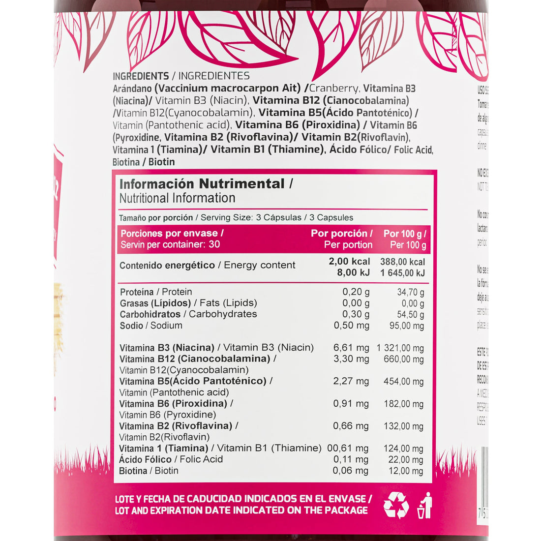 COMPLEJO B CON ARÁNDANOS | 500MG - ZenNaturaMX