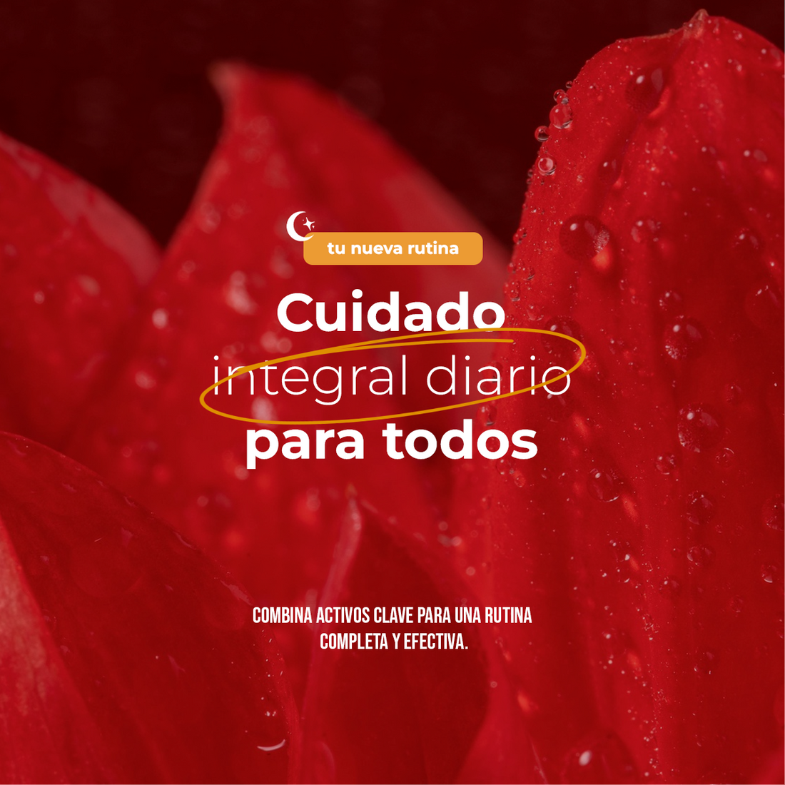 Biotina, Colágeno y Vitamina B 500 mg EVEAUX | 90 Cápsulas