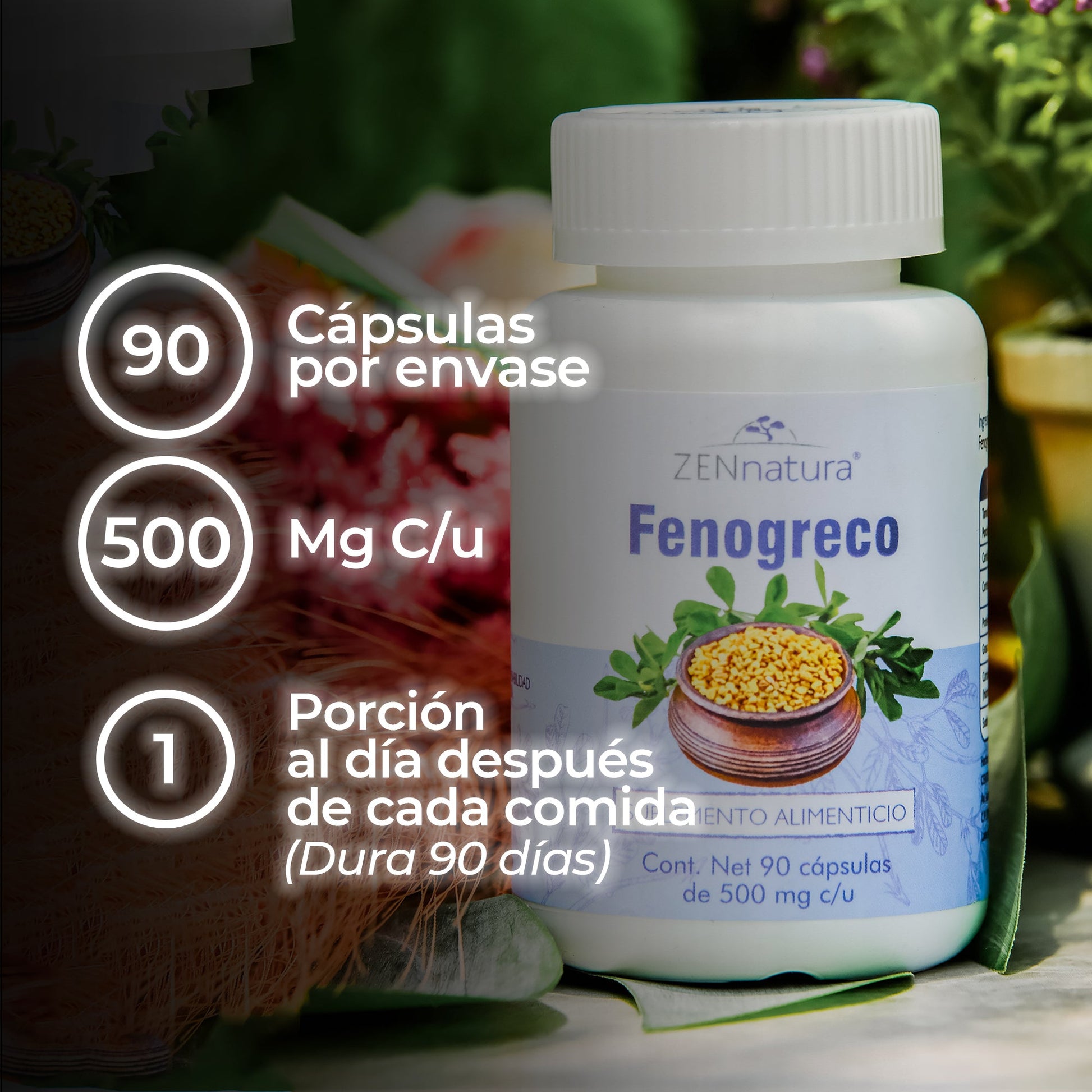 FENOGRECO DE 500MG - ZenNaturaMX