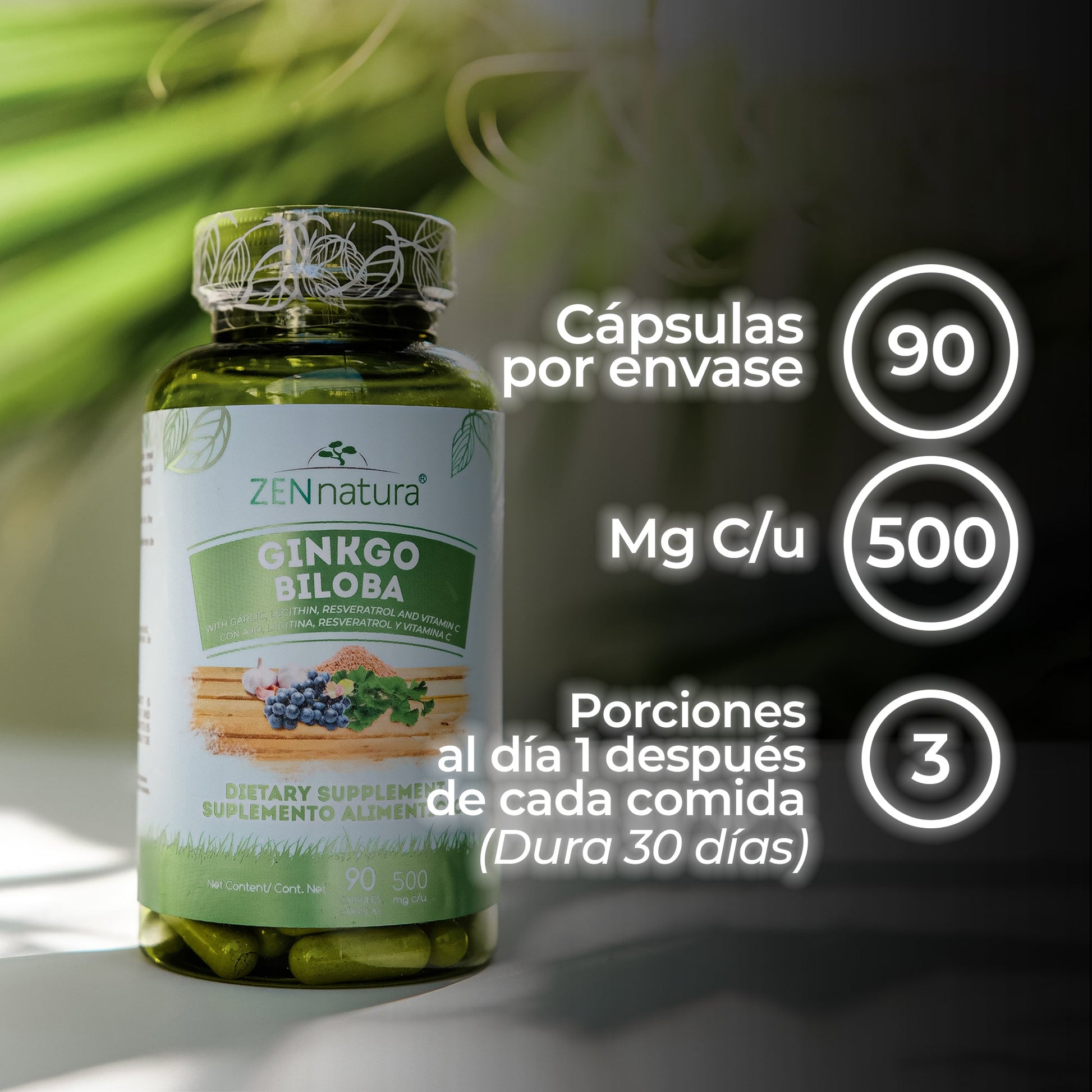 GINKGO BILOBA 500MG - ZenNaturaMX