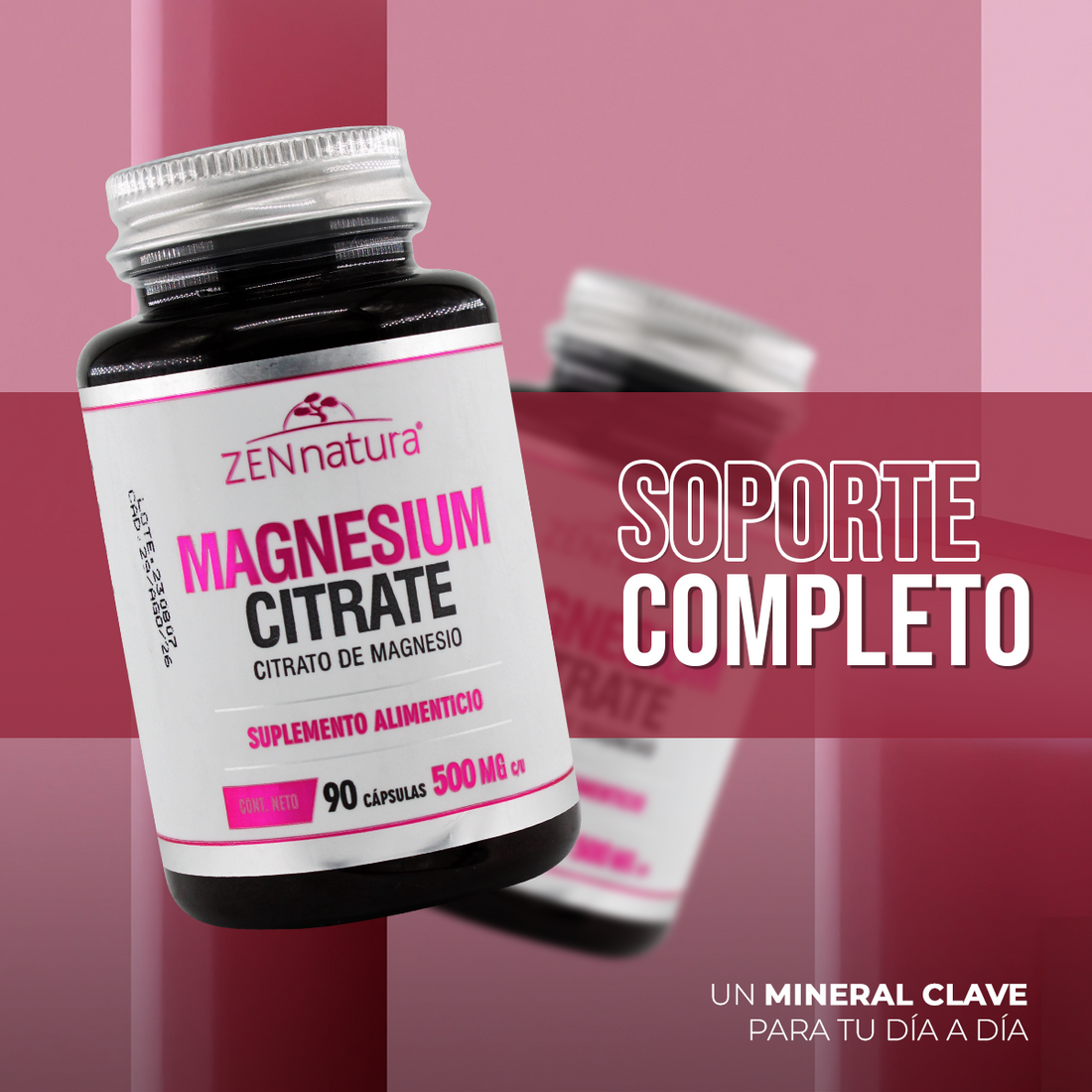 Citrato de Magnesio 500 mg | 90 Cápsulas